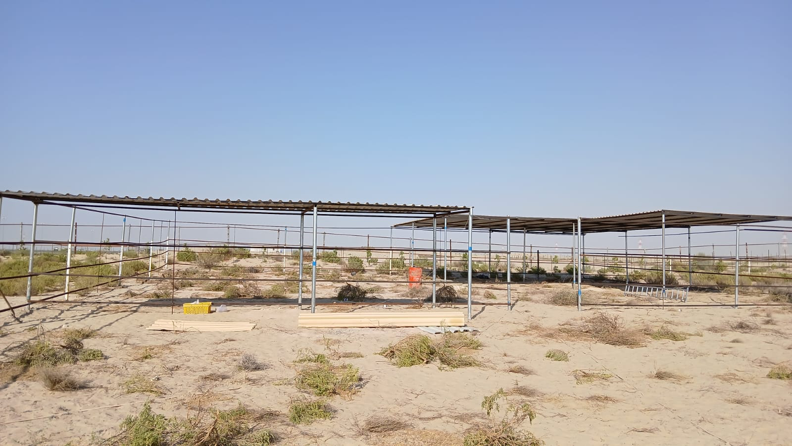 Garden fencing, pathways and interlock installation - Abu Dhabi